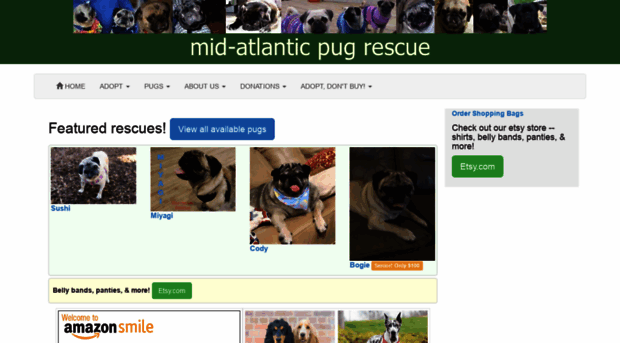 midatlanticpugrescue.org