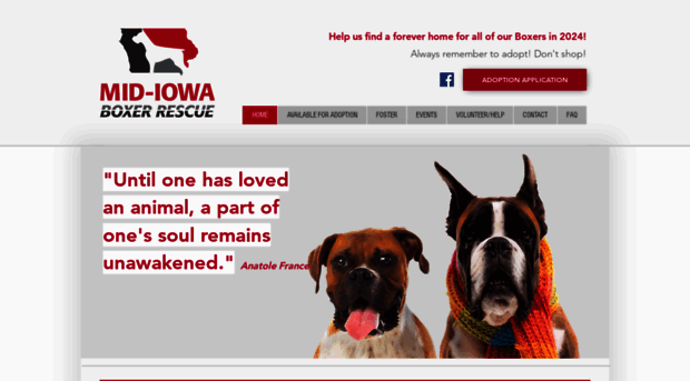 midiowaboxerrescue.org