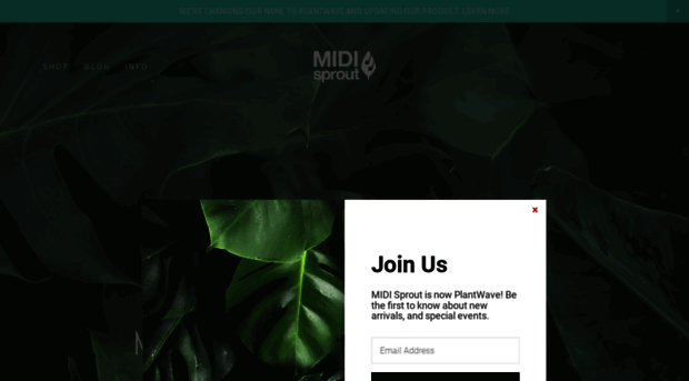 midisprout.com