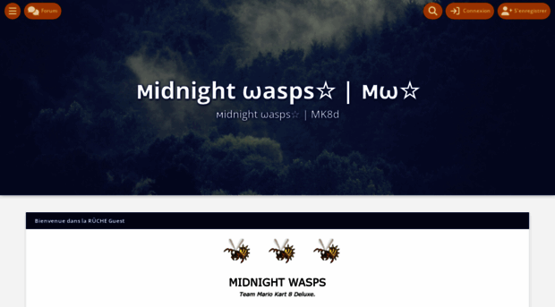 midnight-wasps.vraiforum.com