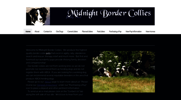 midnightbordercollies.com