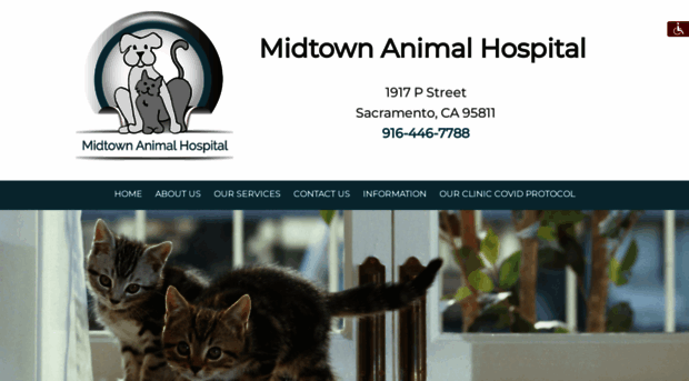 midtownanimalhospital.com