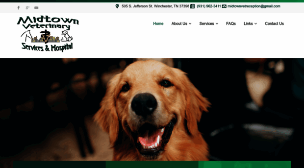 midtownveterinary.com