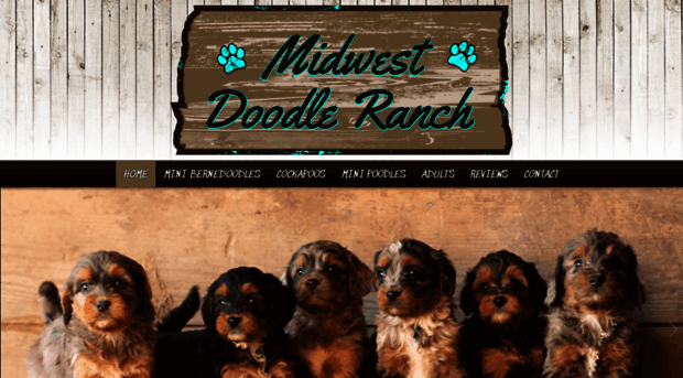 midwestdoodleranch.com