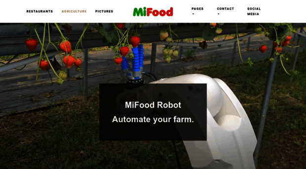 mifood.es