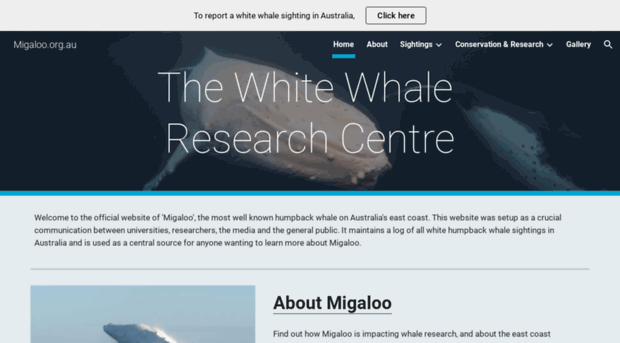 migaloo.com.au