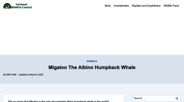 migaloowhale.org