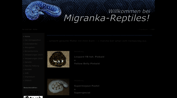 migranka-reptiles.com