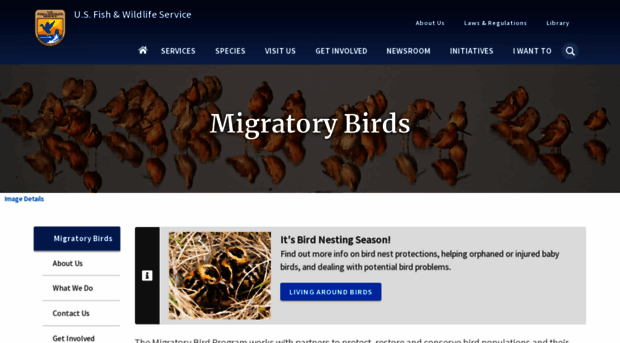 migratorybirds.fws.gov