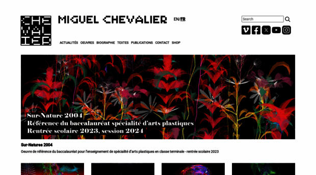 miguel-chevalier.com