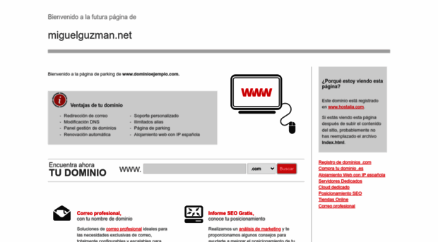 miguelguzman.net