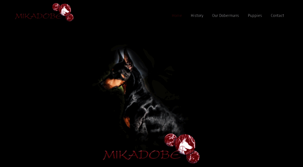 mikadobe.com