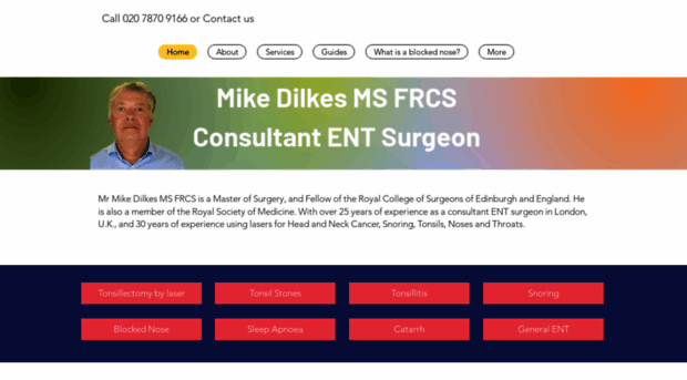 mikedilkes-entlaser.co.uk