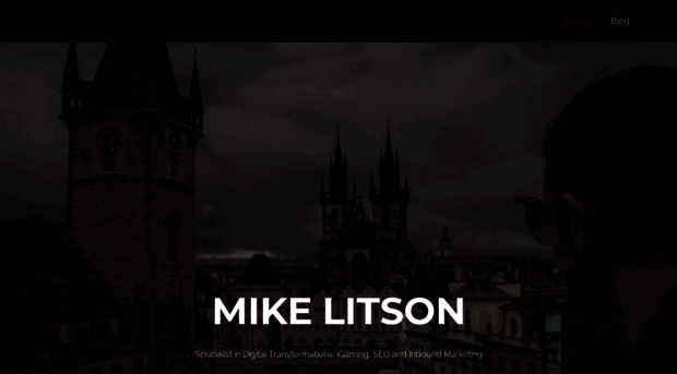 mikelitson.com