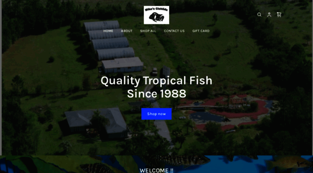 mikescichlids.com