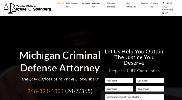 mikesteinberglaw.com