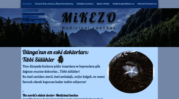 mikezo.net