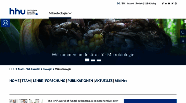 mikrobiologie.hhu.de