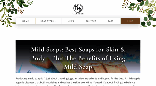 mildsoaps.com