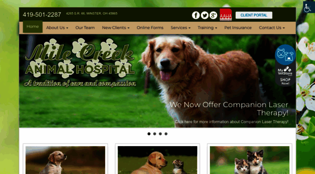 milecreekvet.com