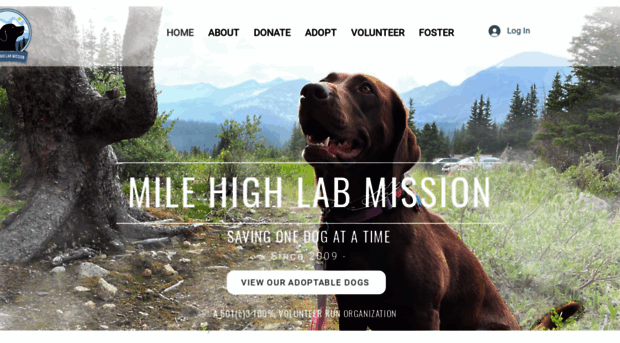 milehighlabradorretrievermission.com