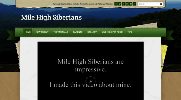 milehighsiberians.com