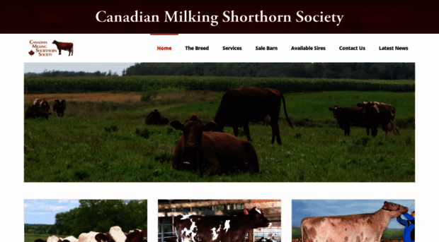 milkingshorthorn.ca