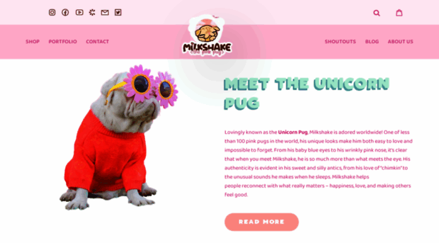 milkshakethepug.com