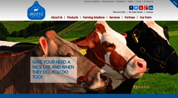 milkys-solutions.com