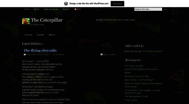 millar153.wordpress.com