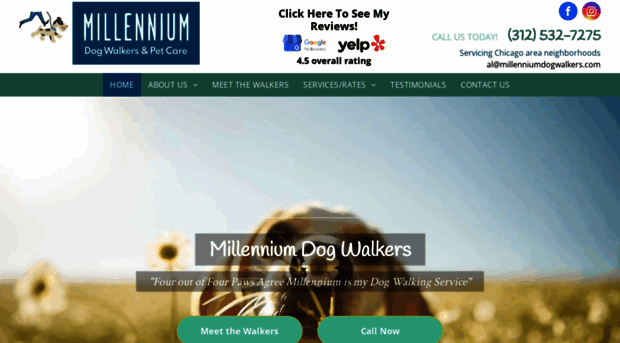 millenniumdogwalkers.com