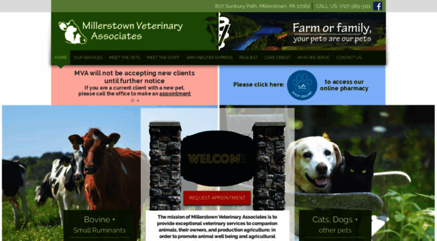 millerstownvets.com