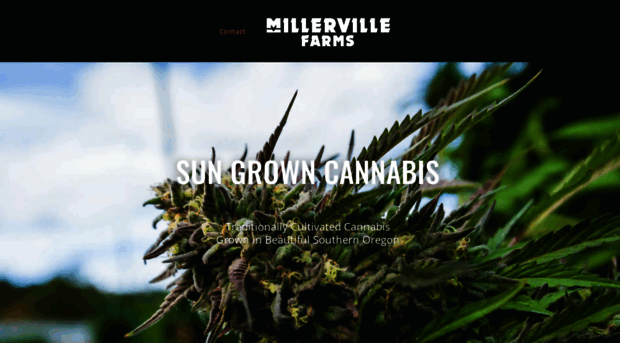 millervilleoregon.com