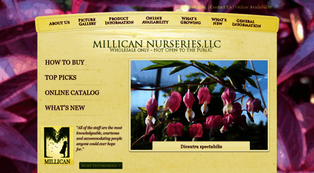 millicannurseriesinc.com