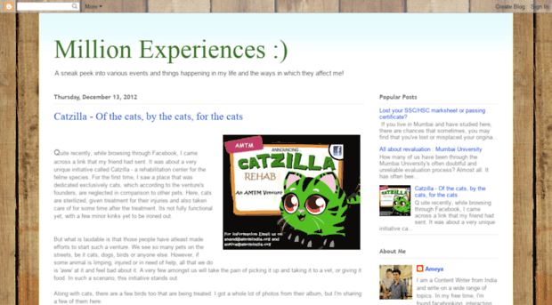 millionexperiences.blogspot.com