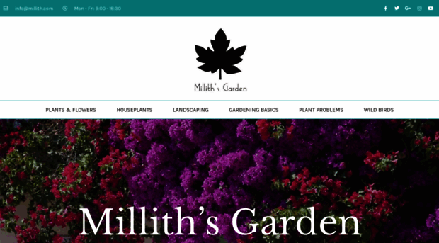 millith.com