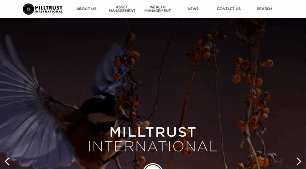 milltrust.com