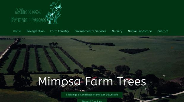 mimosafarmtrees.com.au