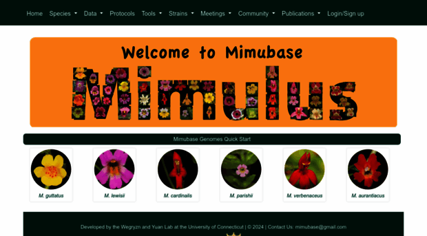 mimubase.org