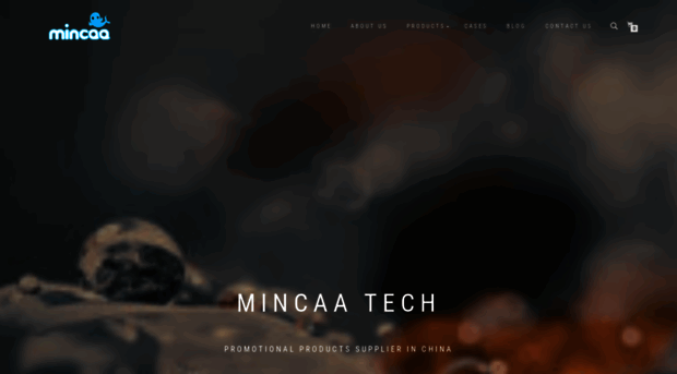 mincaa.com