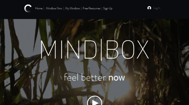 mind-box.co.uk