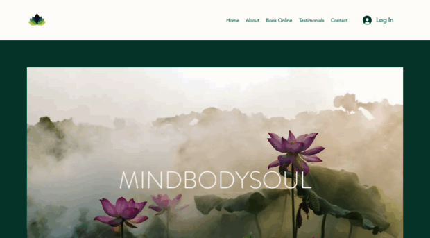 mindbodysoulhc.com