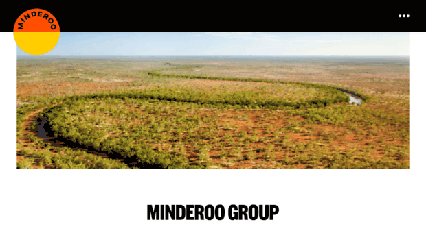 minderoogroup.com