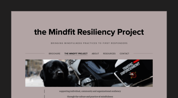 mindfitproject.com