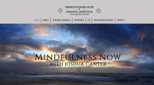 mindfulasheville.com