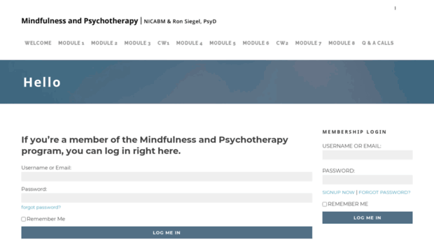 mindfulnessandpsychotherapy2017.nicabm.co