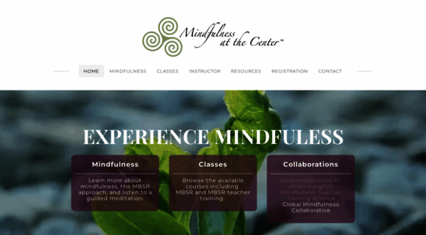 mindfulnessatthecenter.com