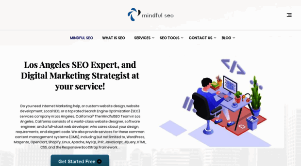 mindfulseo.com