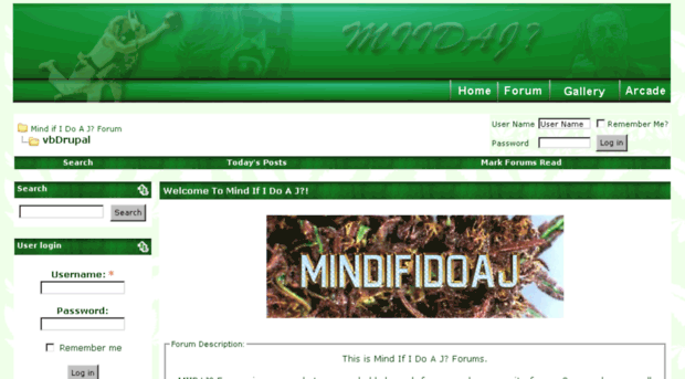 mindifidoaj.com