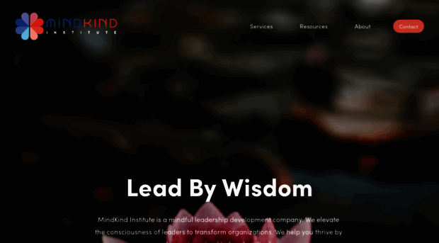 mindkindinstitute.com